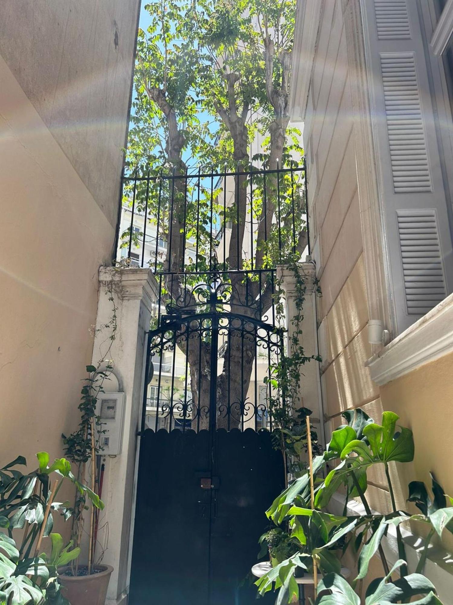 Baloo Hostel Athens Exterior photo